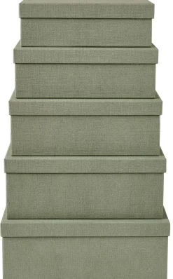 Bigso Caja De Almacenaje Menta
