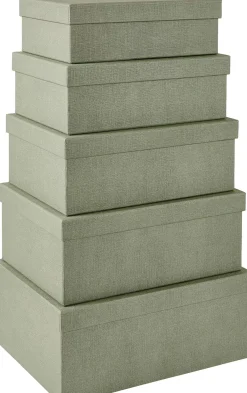 Bigso Caja De Almacenaje M Menta