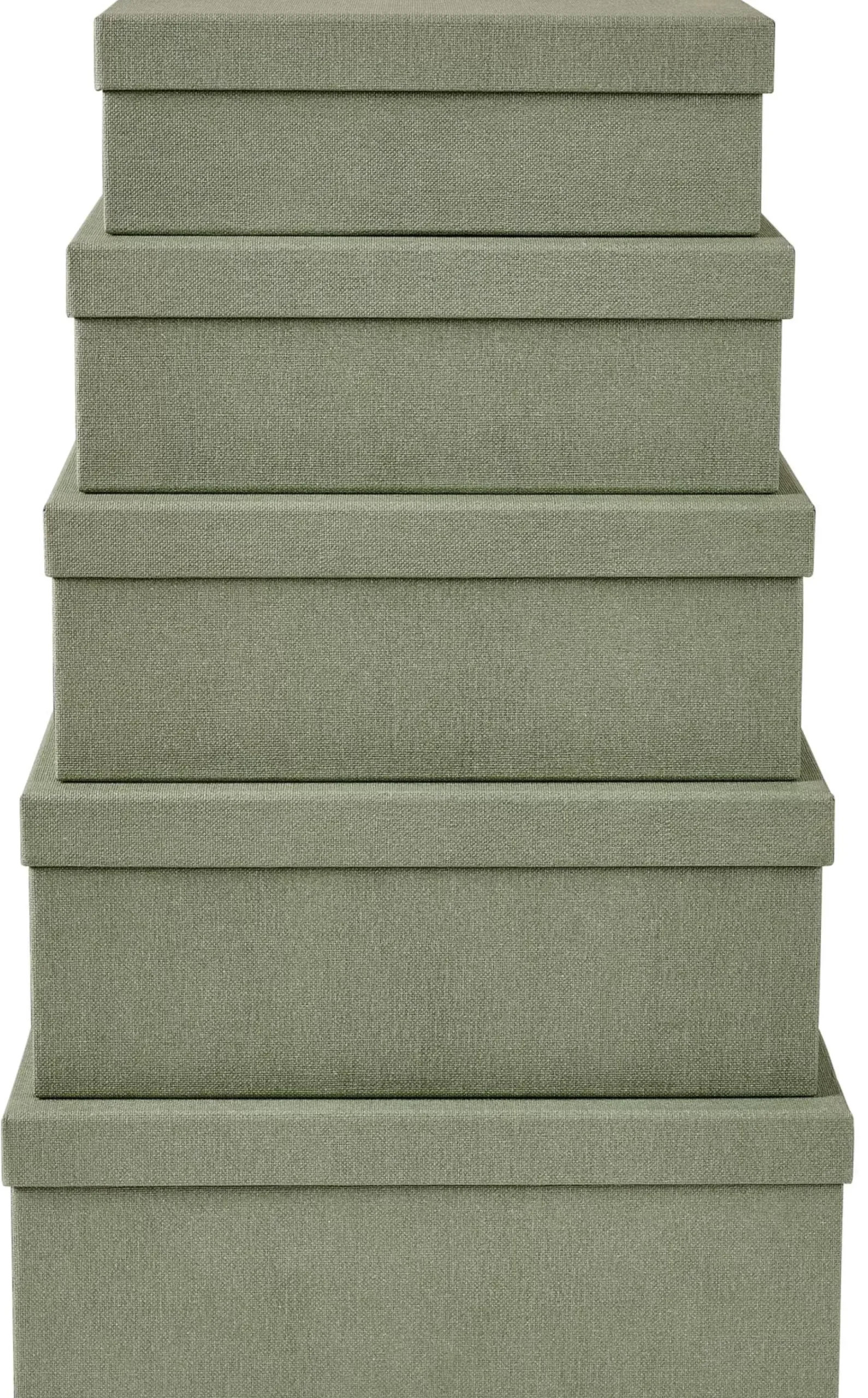 Bigso Caja De Almacenaje Xl Menta