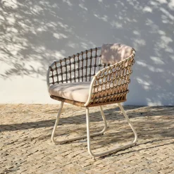 Bones Silla Arena