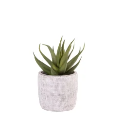Cement Planta Artificial Gris