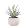 Cement Planta Crasa Art En Tarro Gris