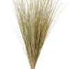 Cogon Haz De Hierba Natural