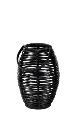 Ellips Farolillo Negro