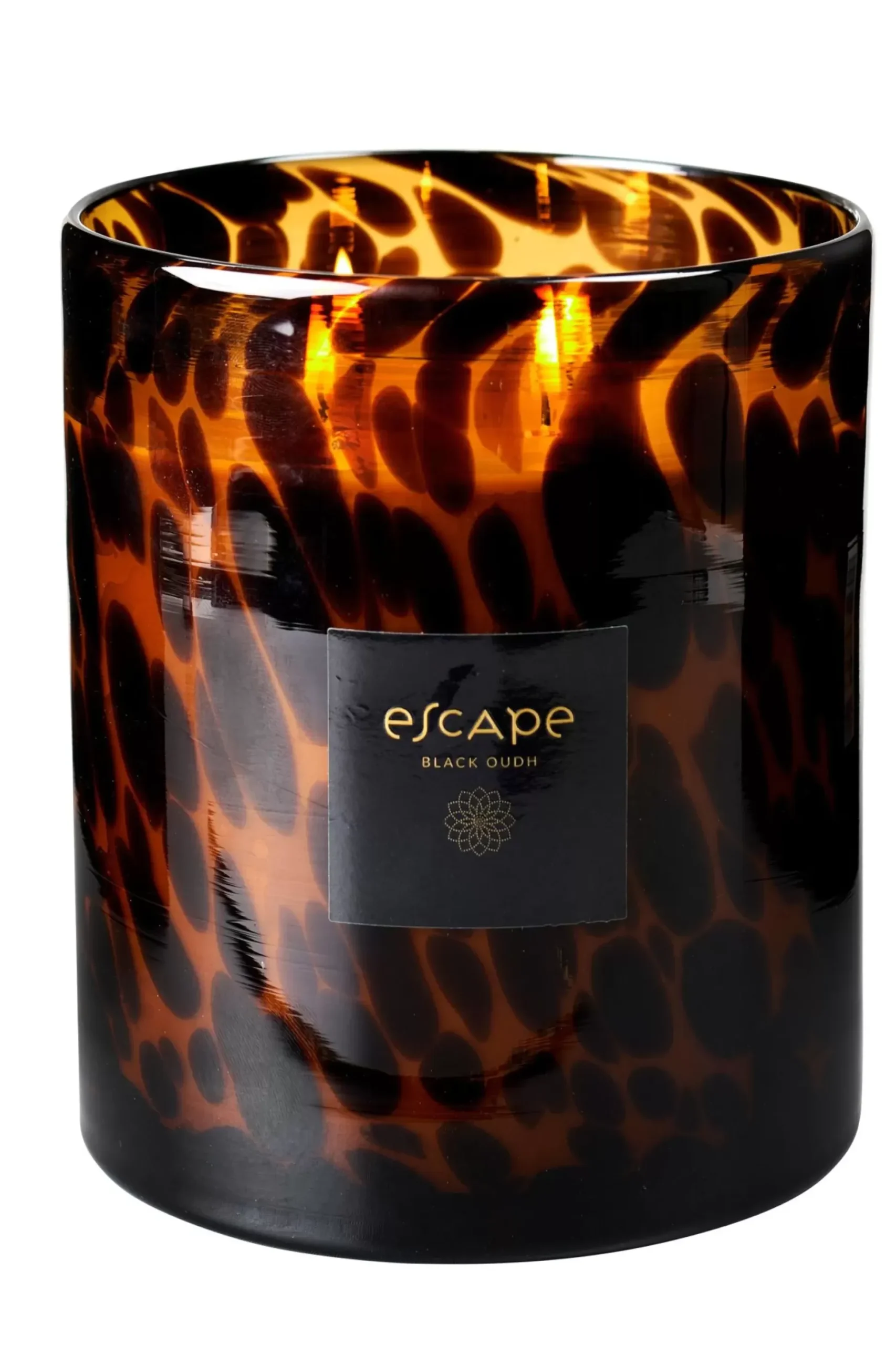 Escape Black Oudh Negro, Marron, Ocre