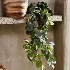 Fittonia Guirnalda De Hojas Verde