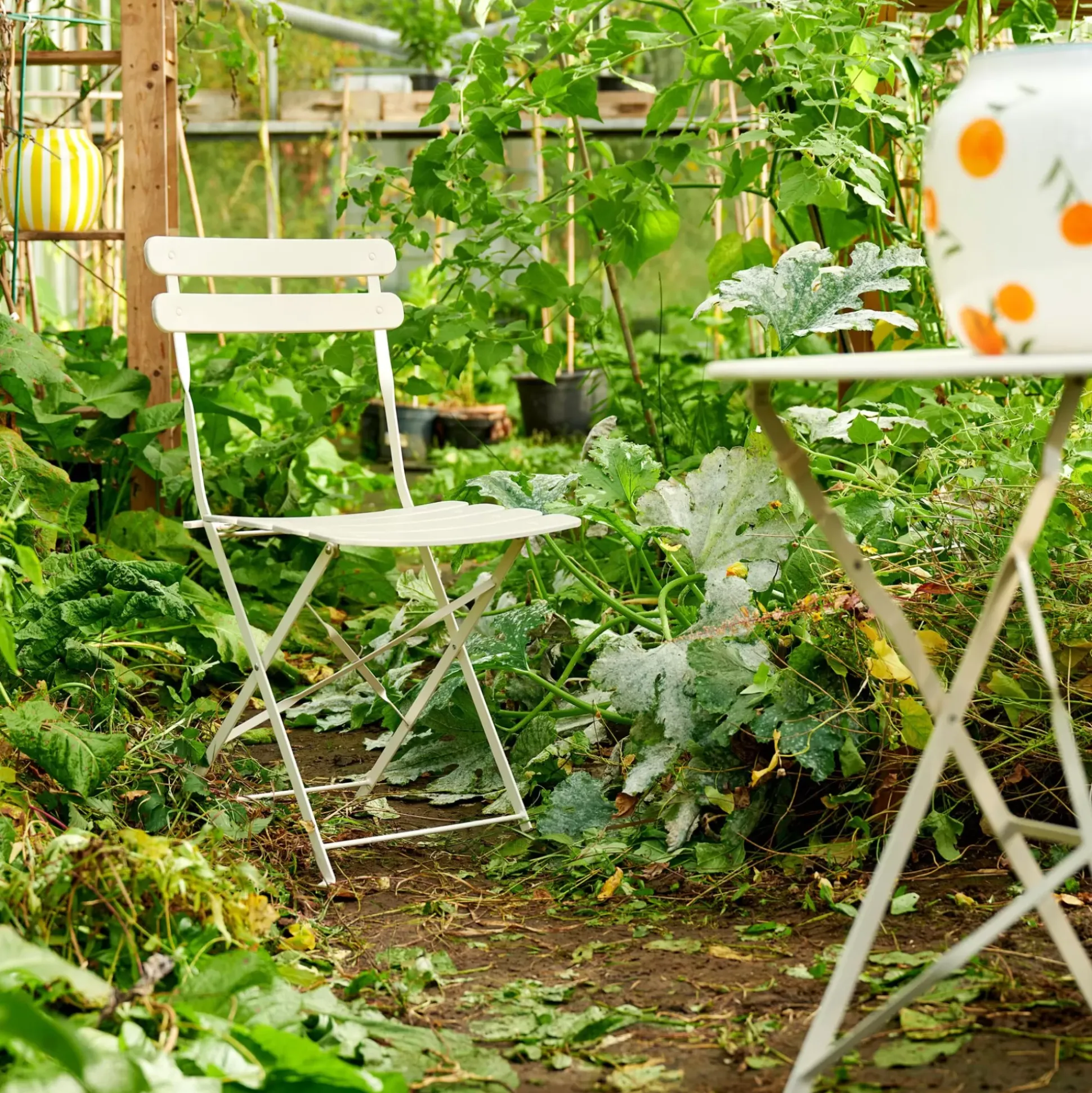 Imperial Silla Plegable Arena