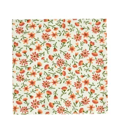 Irma Paquete De 20 Servilletas Multicolor