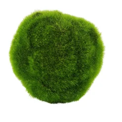 Moss Bola De Musgo Verde