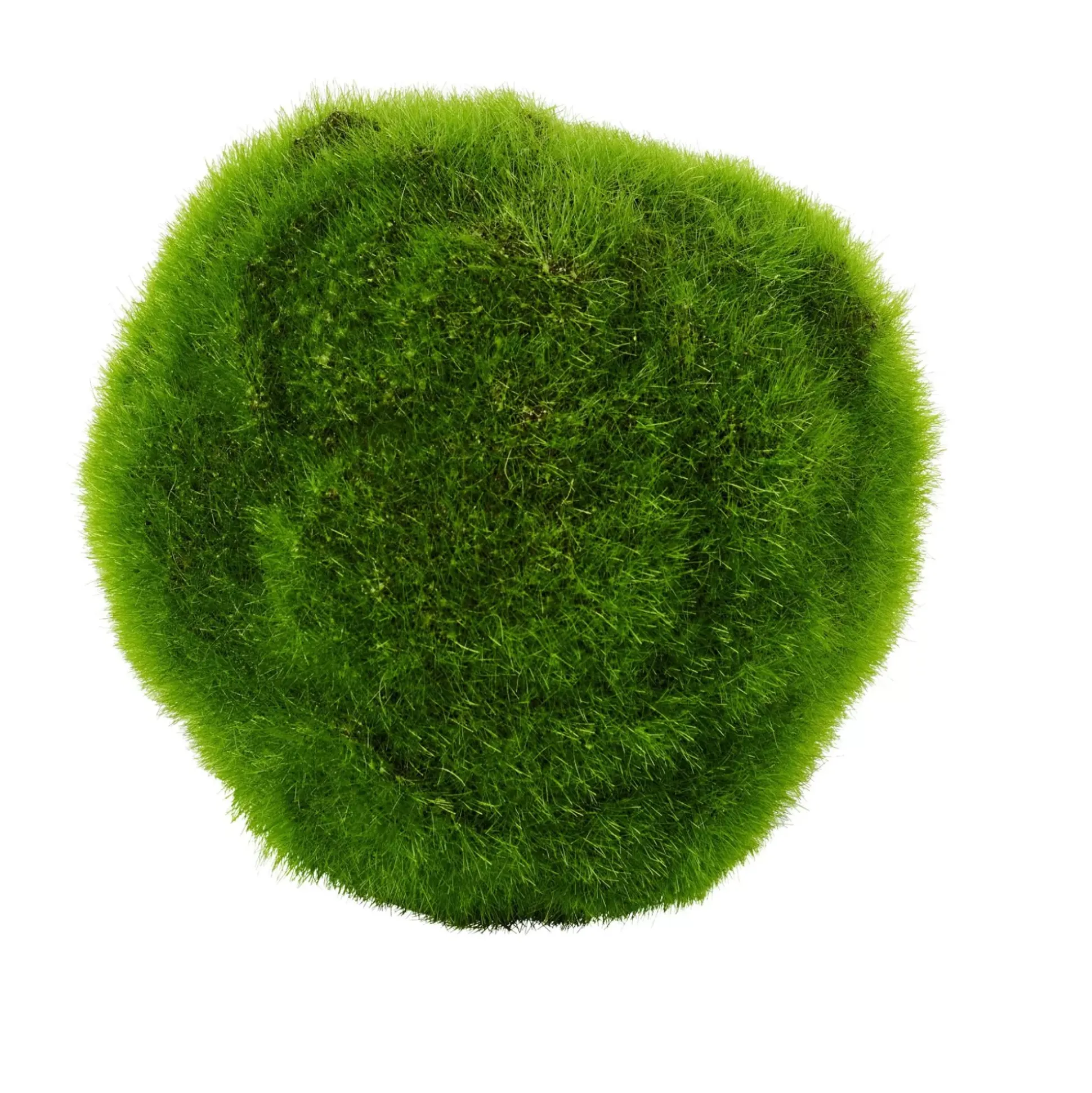 Moss Bola De Musgo Verde