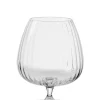 Speakeasies Conac Transparente