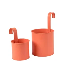 Tanaman Macetero Colgante 4 Colores Naranja